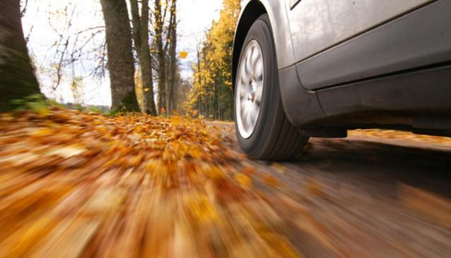 Подготовка автомобиля к осени: Основные правила